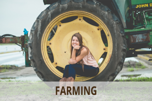 Farming | Southwest Florida | Williams Farm, Immokalee