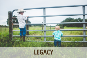 Legacy | Southwest Florida | Williams Farm, Immokalee